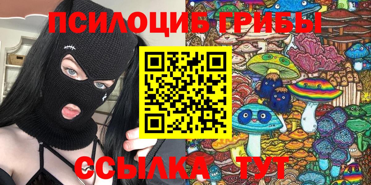 Торжок  Галлюциногенные грибы Psilocybe  Вход с VPN 